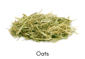 Oasts-5