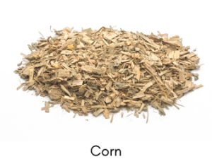 corn-3